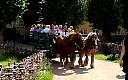 img0845.jpg
