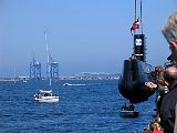 IMG_0890.jpg