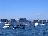 IMG_0895.jpg
