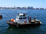 IMG_0944.jpg