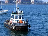 IMG_0955.jpg