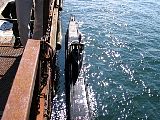 IMG_0974.jpg