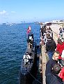 IMG_0977.jpg