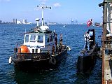IMG_0982.jpg