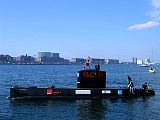 IMG_0990.jpg