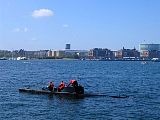 IMG_1002.jpg