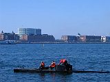 IMG_1004.jpg