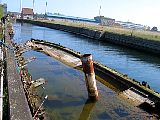 IMG_1007.jpg