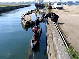 IMG_1011.jpg