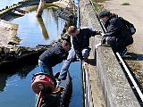 IMG_1012.jpg