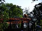 IMG_2013.JPG
