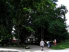 IMG_2556.JPG