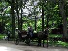 IMG_2557.JPG