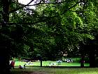 IMG_2784.JPG
