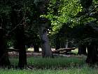 IMG_2787.JPG