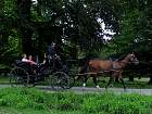 IMG_2792.JPG
