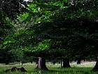 IMG_2795.JPG