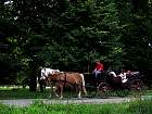 IMG_2798.JPG