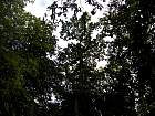 IMG_2806.JPG