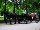 IMG_2808.JPG