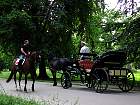 IMG_2810.JPG