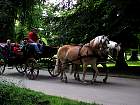 IMG_2811.JPG