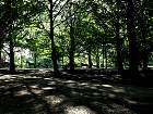 IMG_6677.JPG